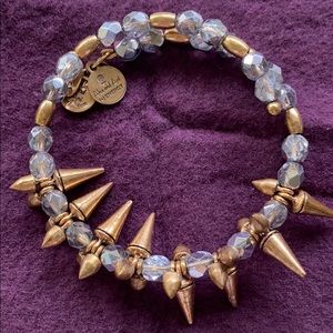 Alex and Ani Gold Rock and Raw Wrap Bracelet